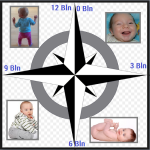 Tabel kontrol perkembangan bayi